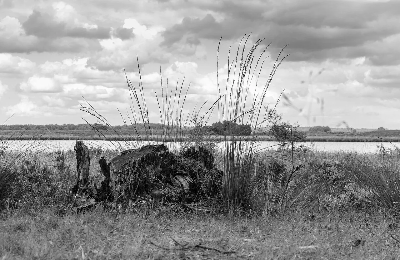 Nationaal Park Dwingelderveld, Drenthe